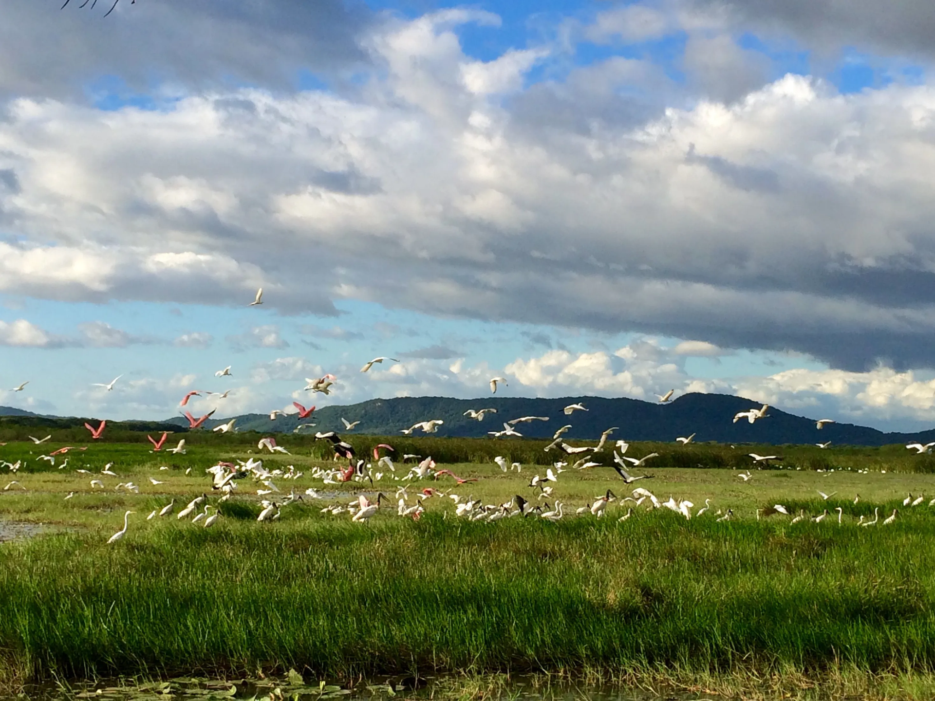 Palo Verde National Park