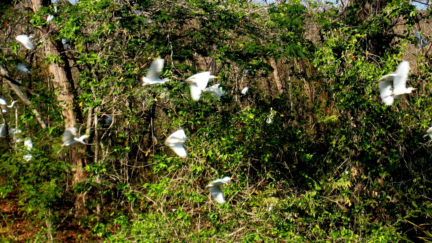 Reserva Biológica Lomas Barbudal