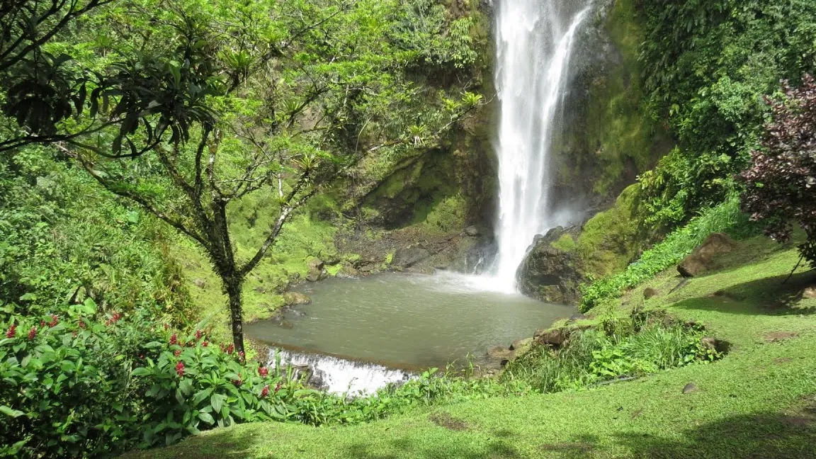 Cascada Viento Fresco