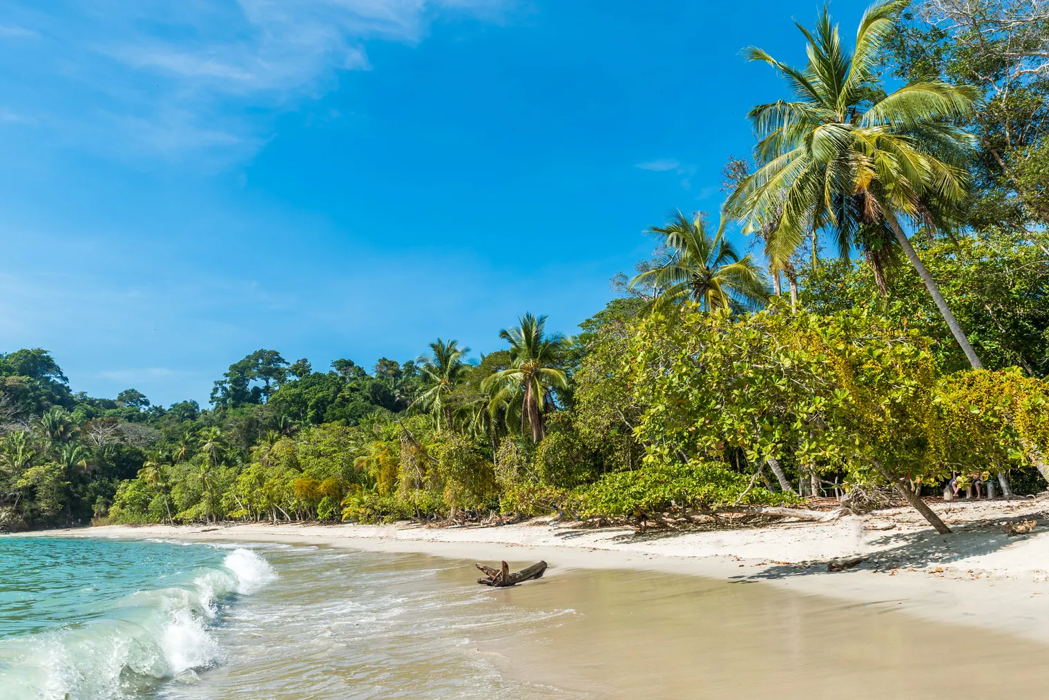 Playa Negra