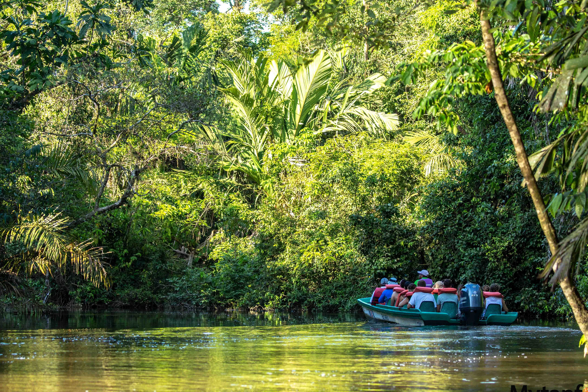 Tortuguero National Park