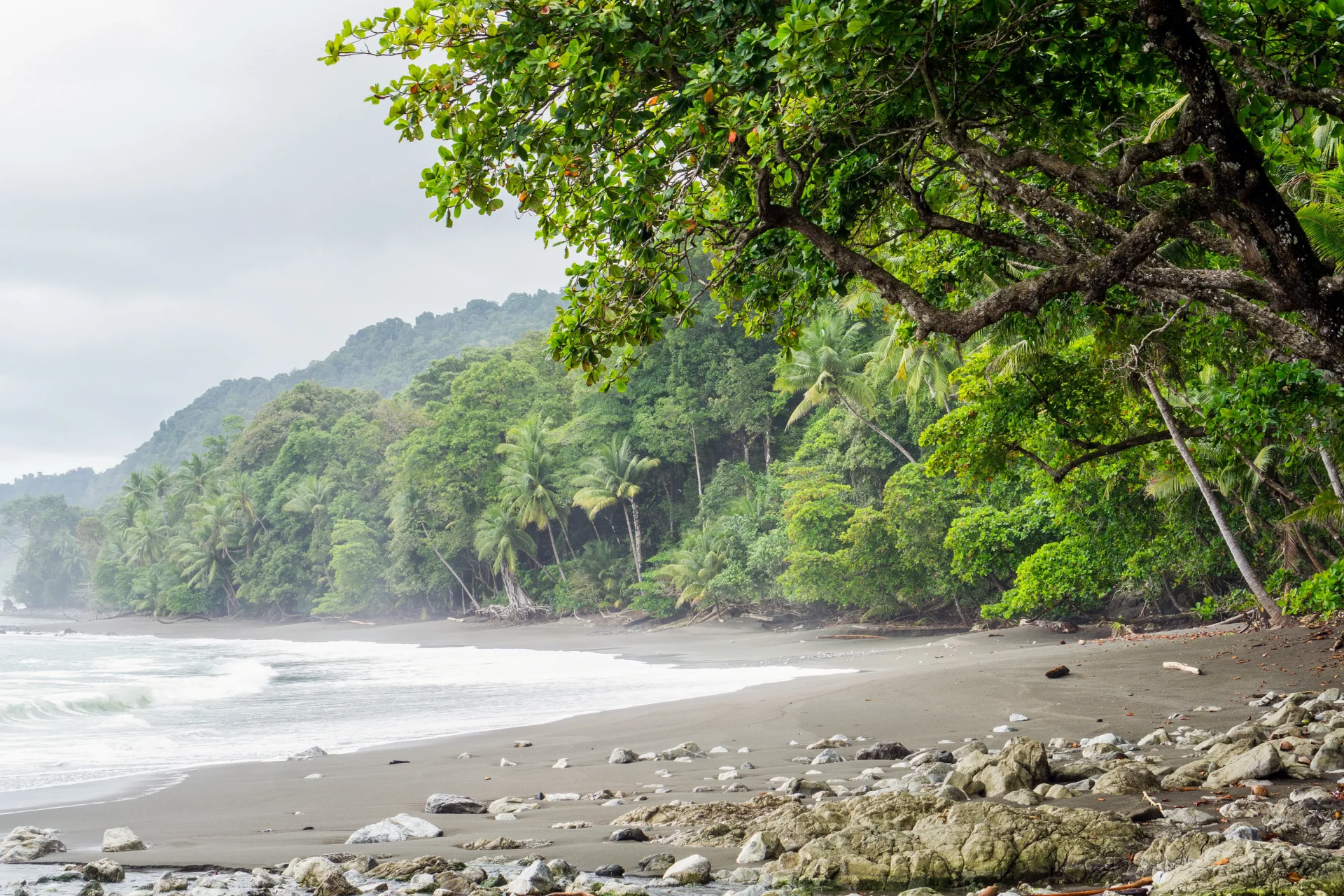 Parque Nacional Corcovado