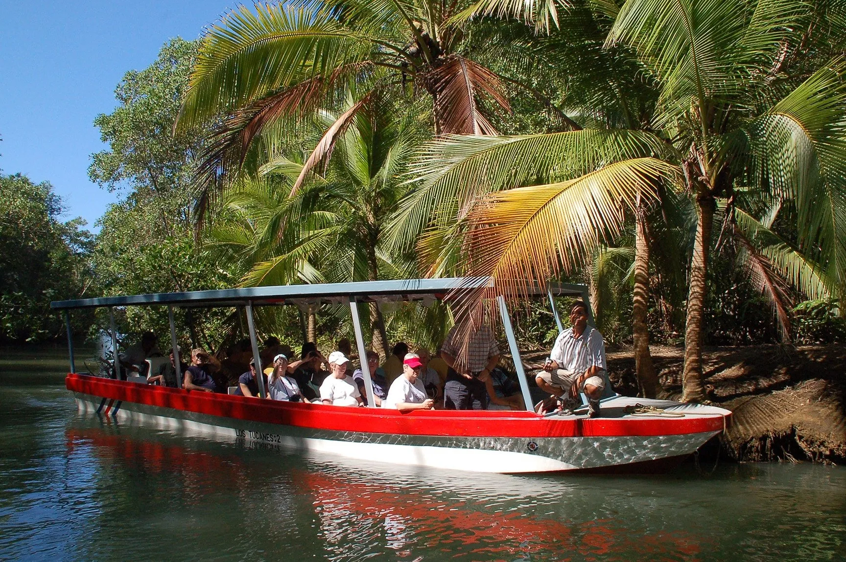 Damas Island Mangrove Boat Tour