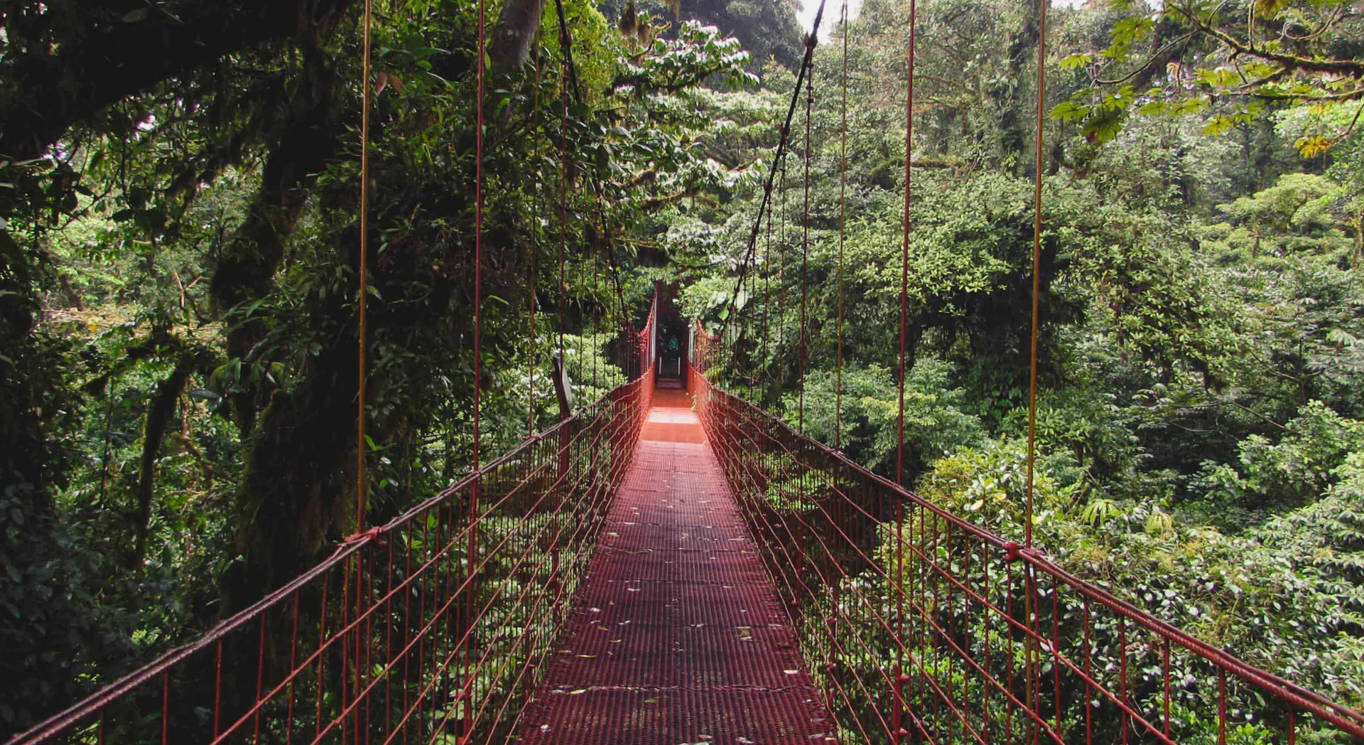 Centro de Ciencias del Bosque Tropical