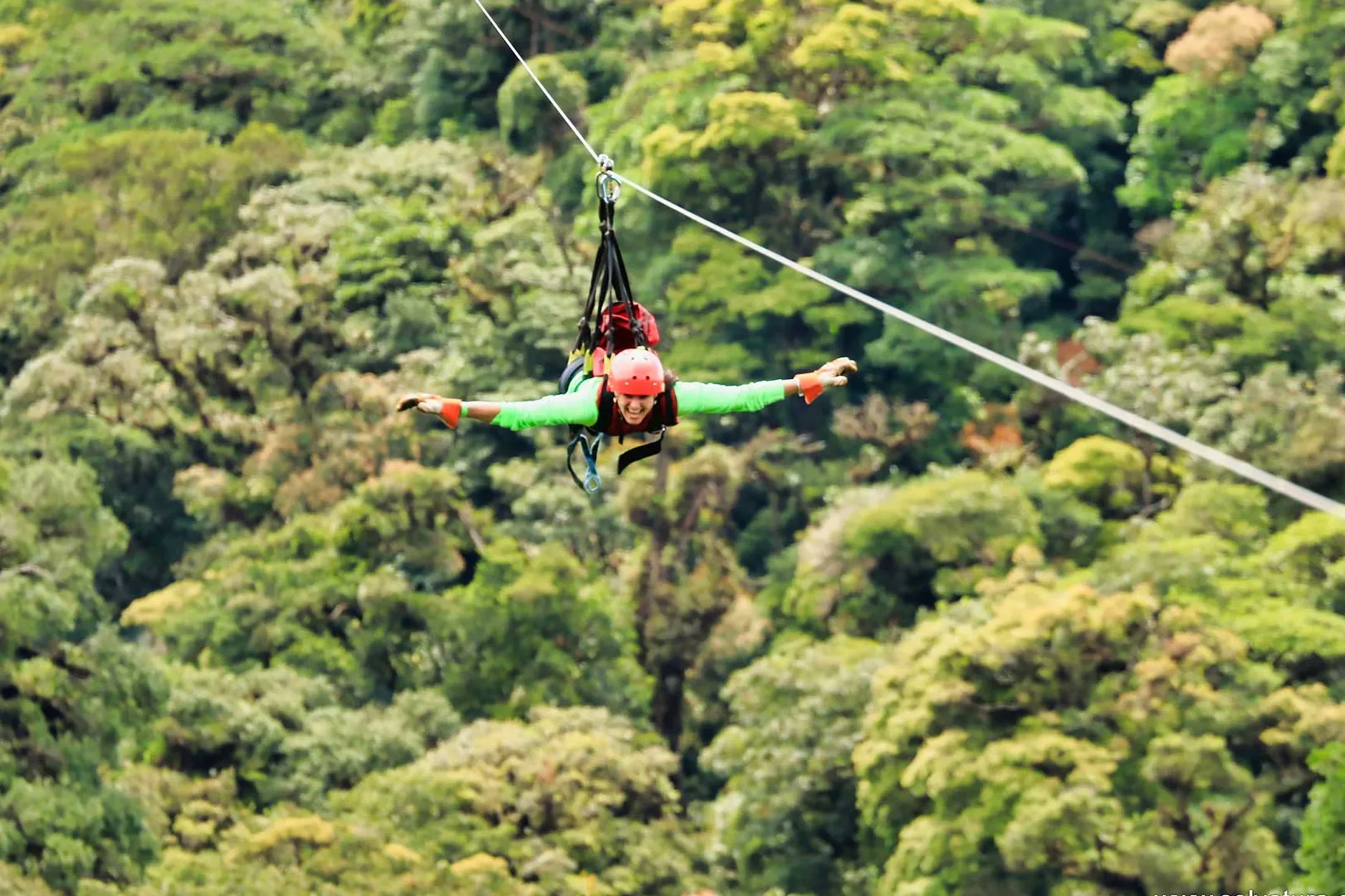 Parque Selvatura