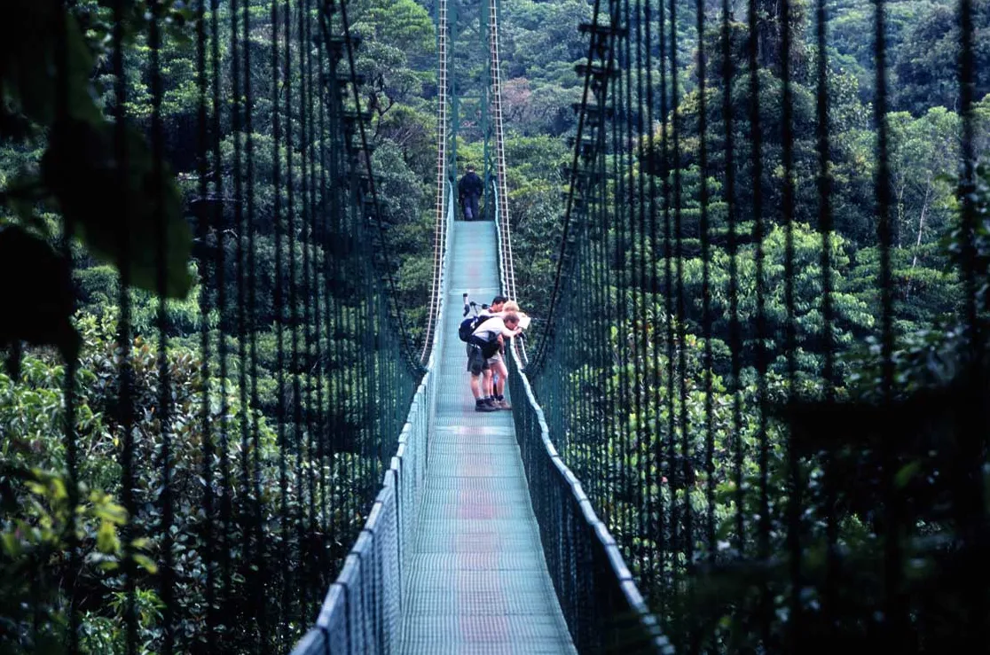 Puentes Colgantes