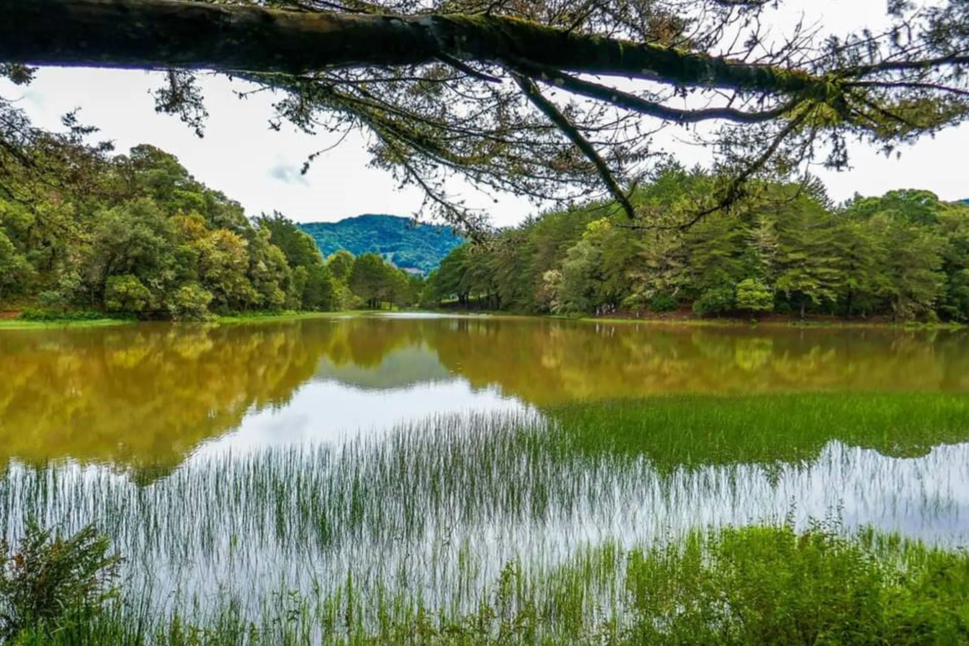 Laguna Don Manuel