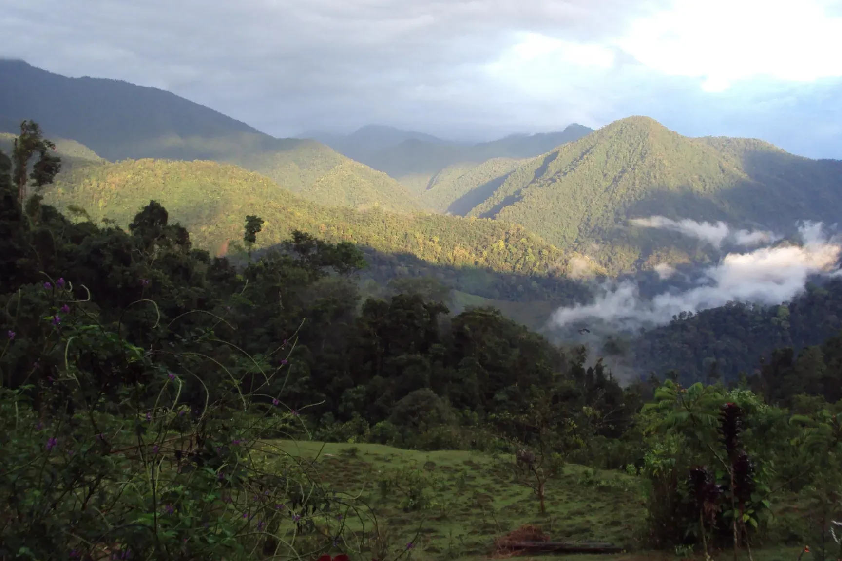 Parque Nacional Los Quetzales