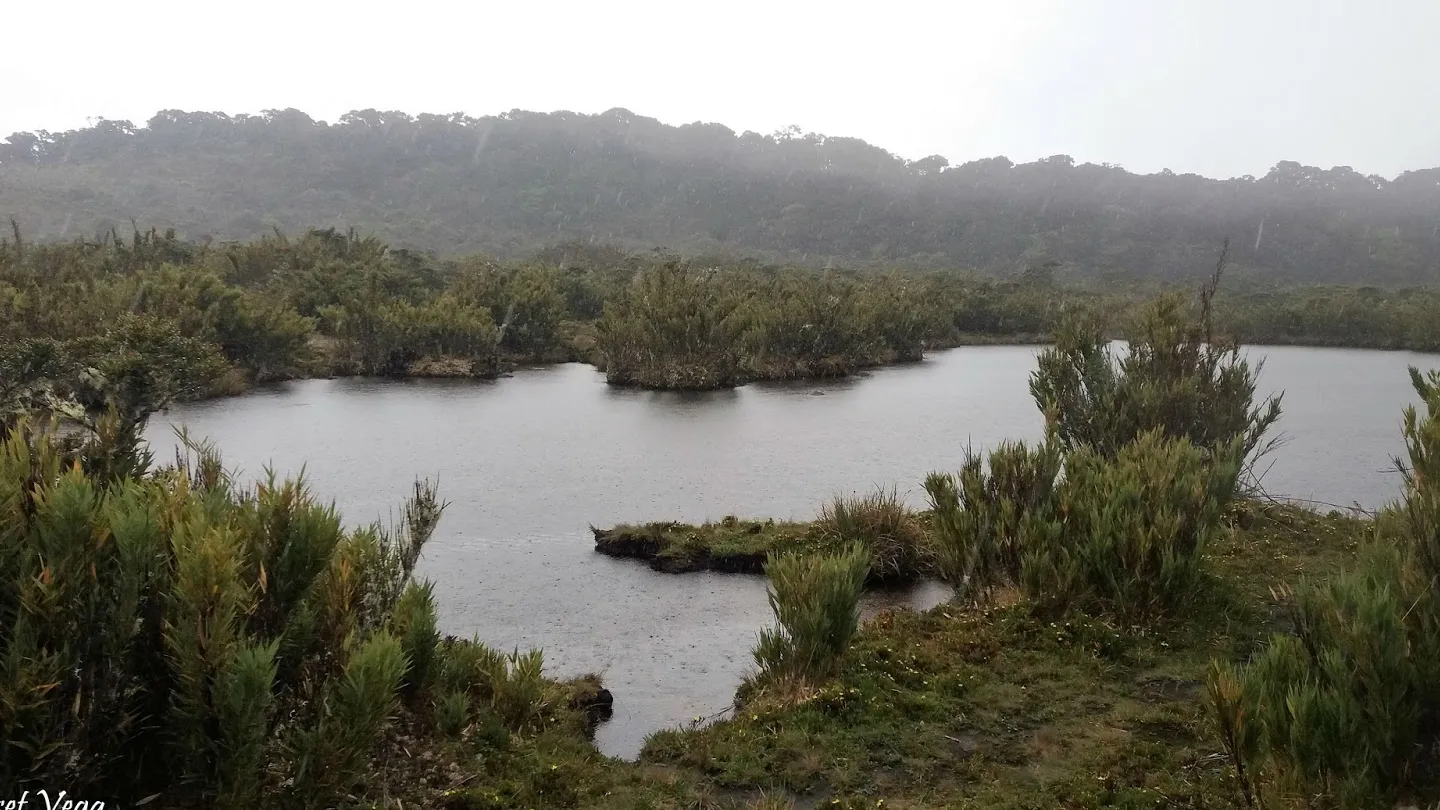 Reserva Biológica Cerro Vueltas