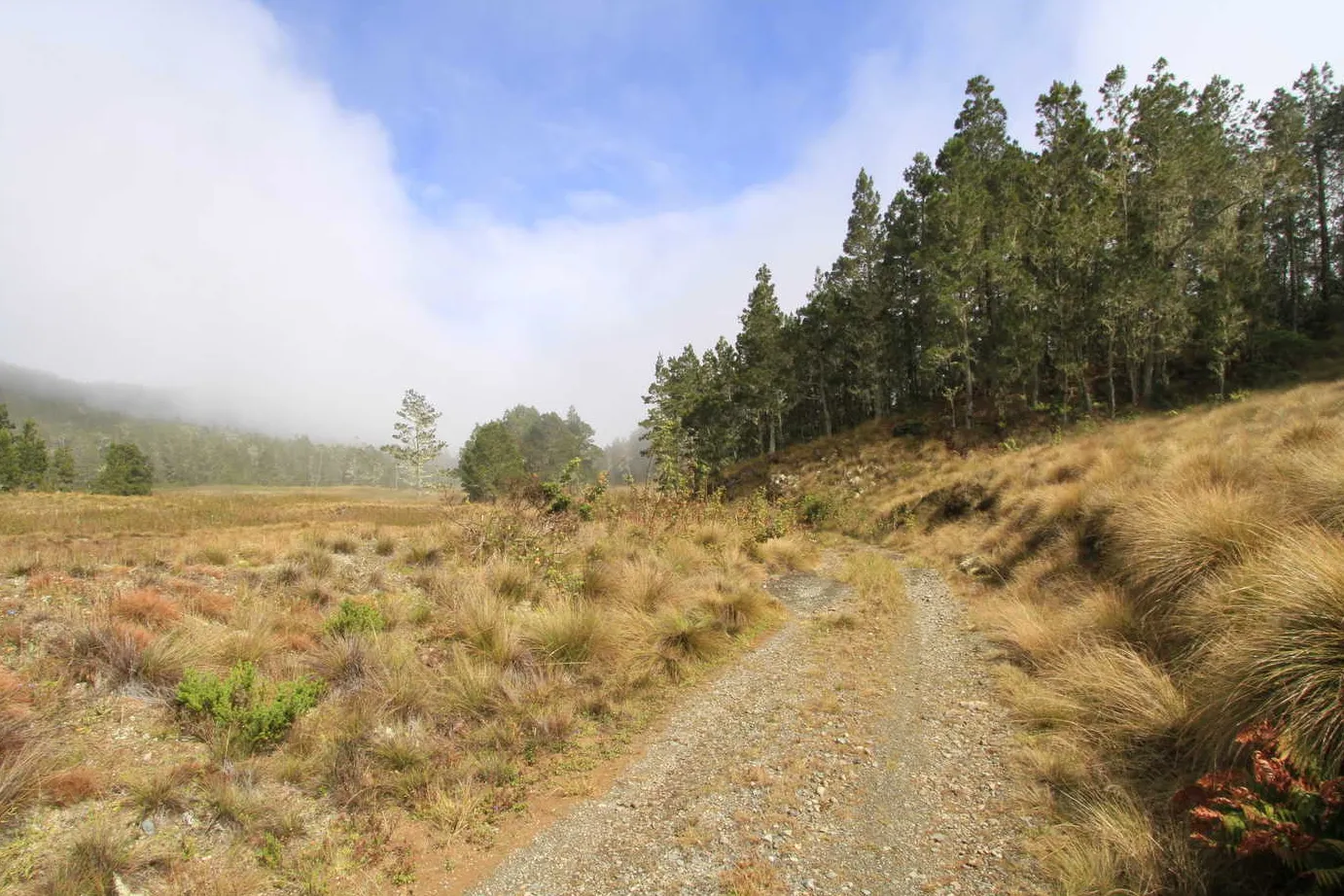 Sendero de Paisaje Litoral (Primorska krasica)