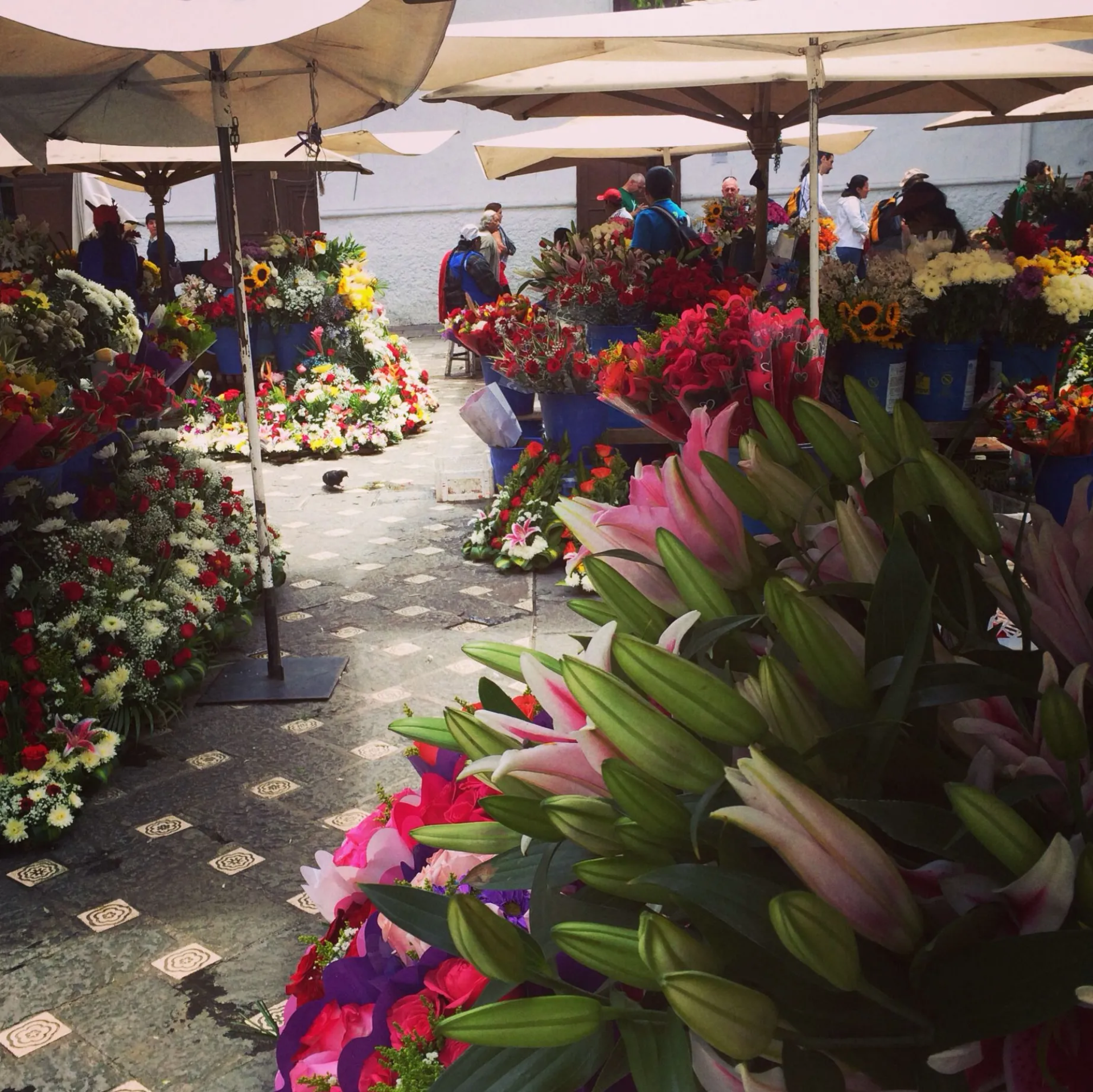 Mercado de Flores