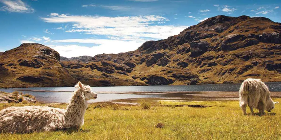 Parque Nacional El Cajas