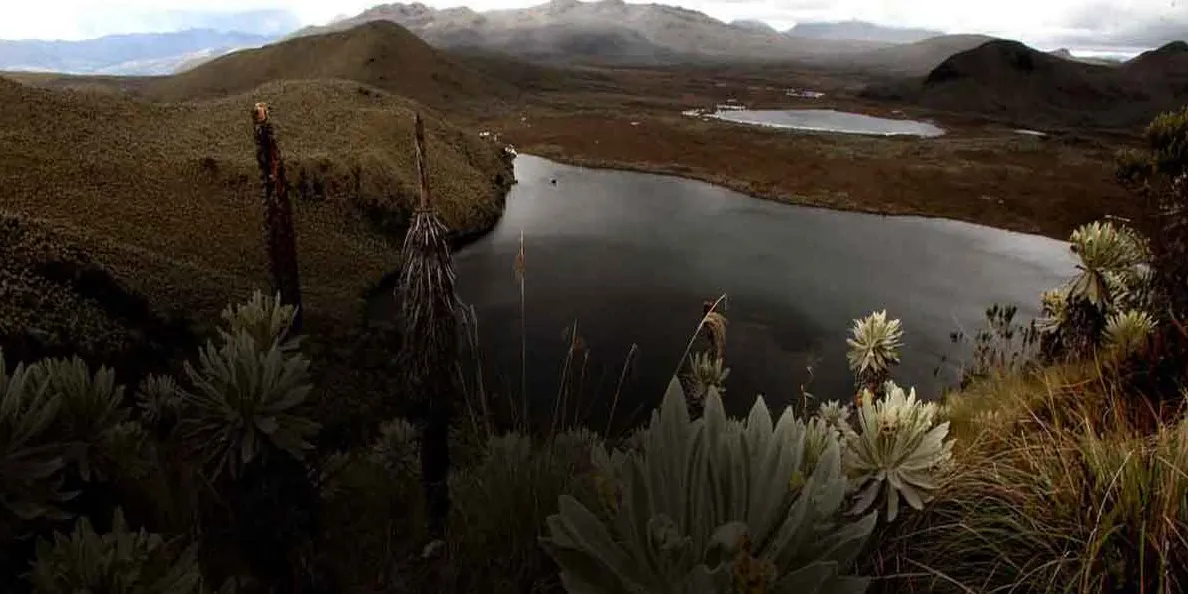 Reserva Ecológica El Ángel