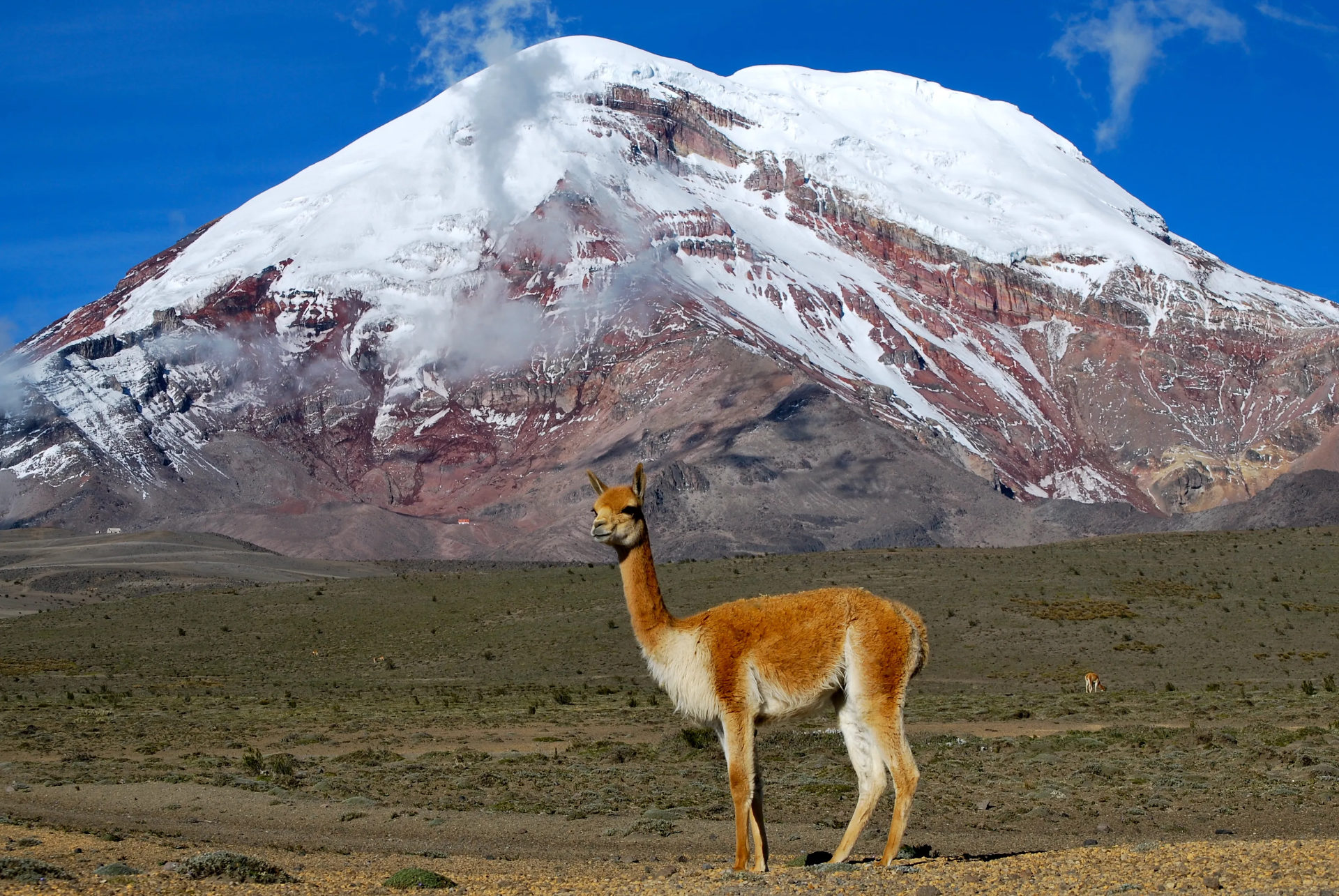 El Chimborazo