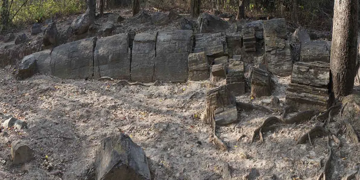 Petrificados de Puyango