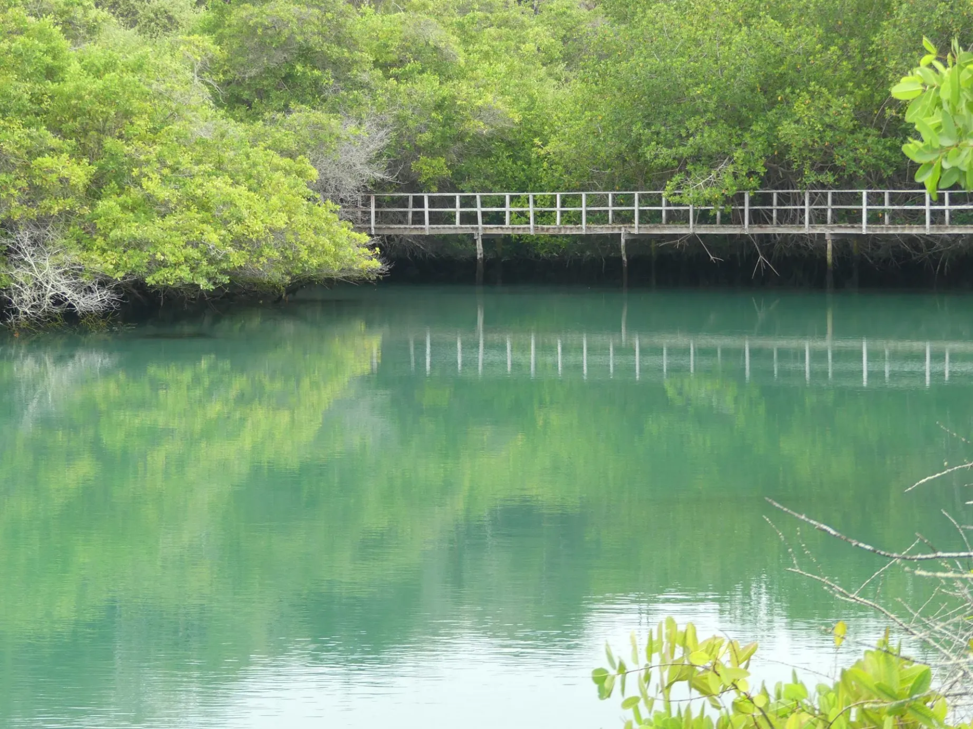 Bahía de las Ninfas