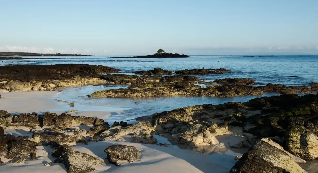 Playa de las Bachas