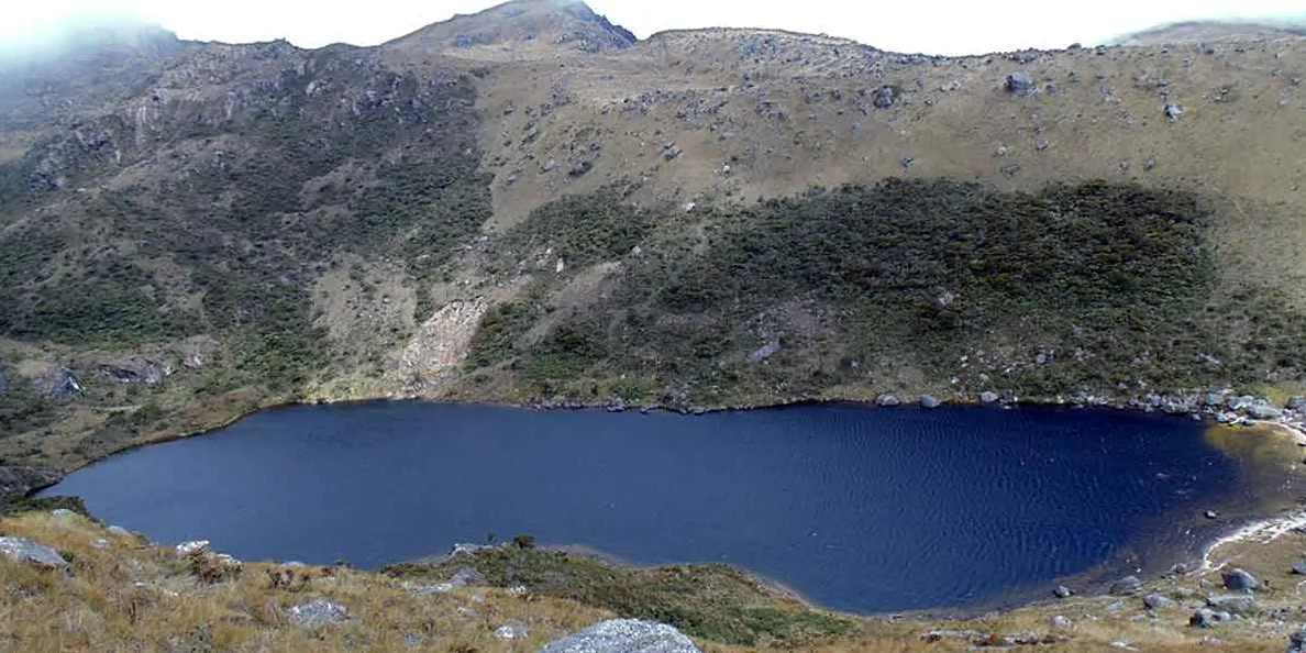 Bosque de Protección de Colambo-Yacuri