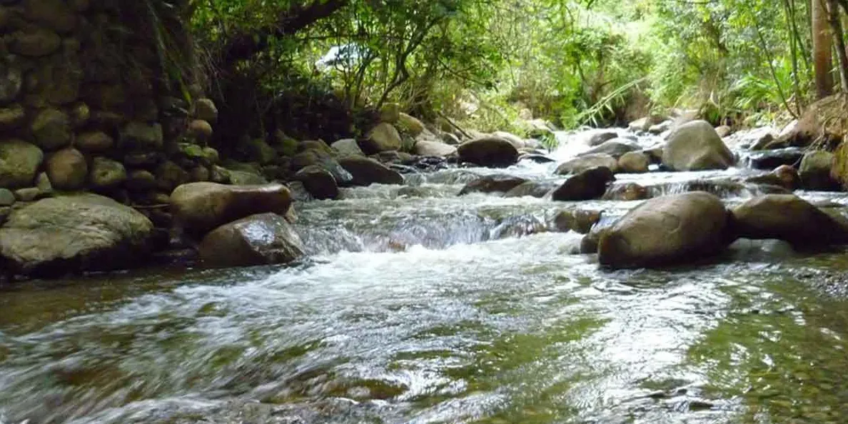 Cascada de Chirimoyo