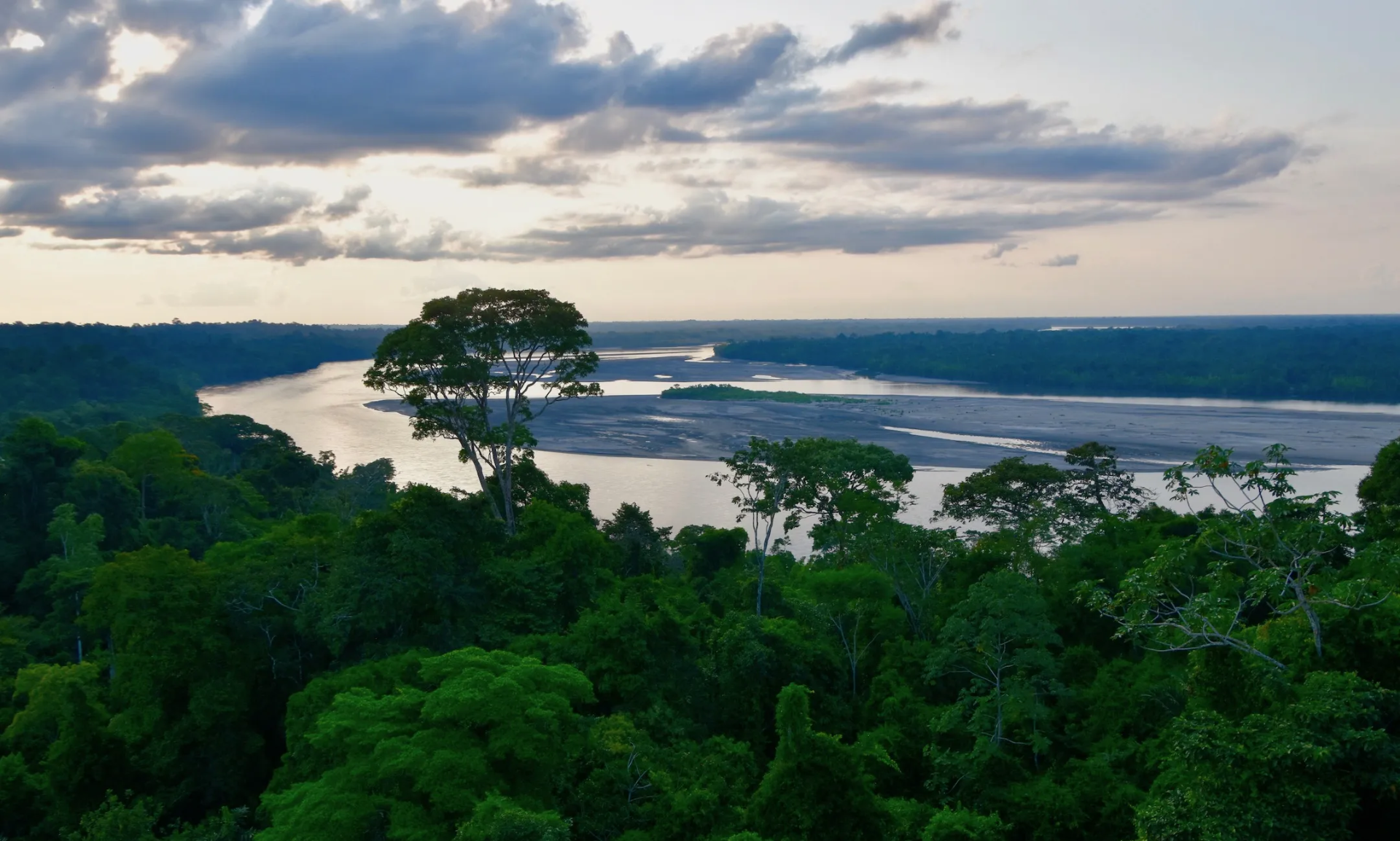 Senderismo en la Selva Amazónica