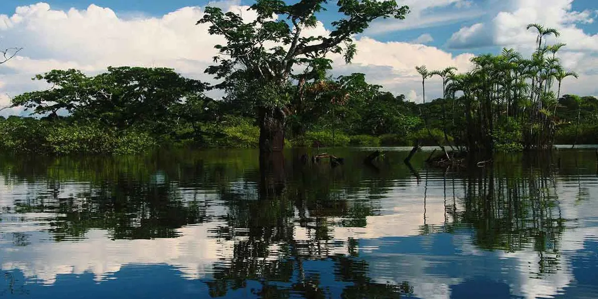 Reserva de Producción de Fauna Cuyabeno