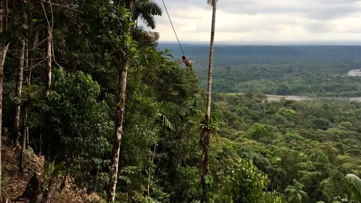 Centro de Rescate Fazendo Verde