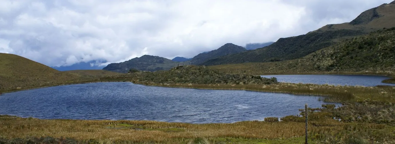 Reserva Ecológica Llanganates