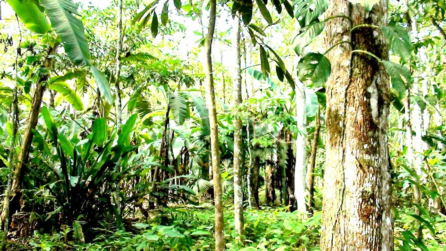 El Refugio de Vida Silvestre La Perla