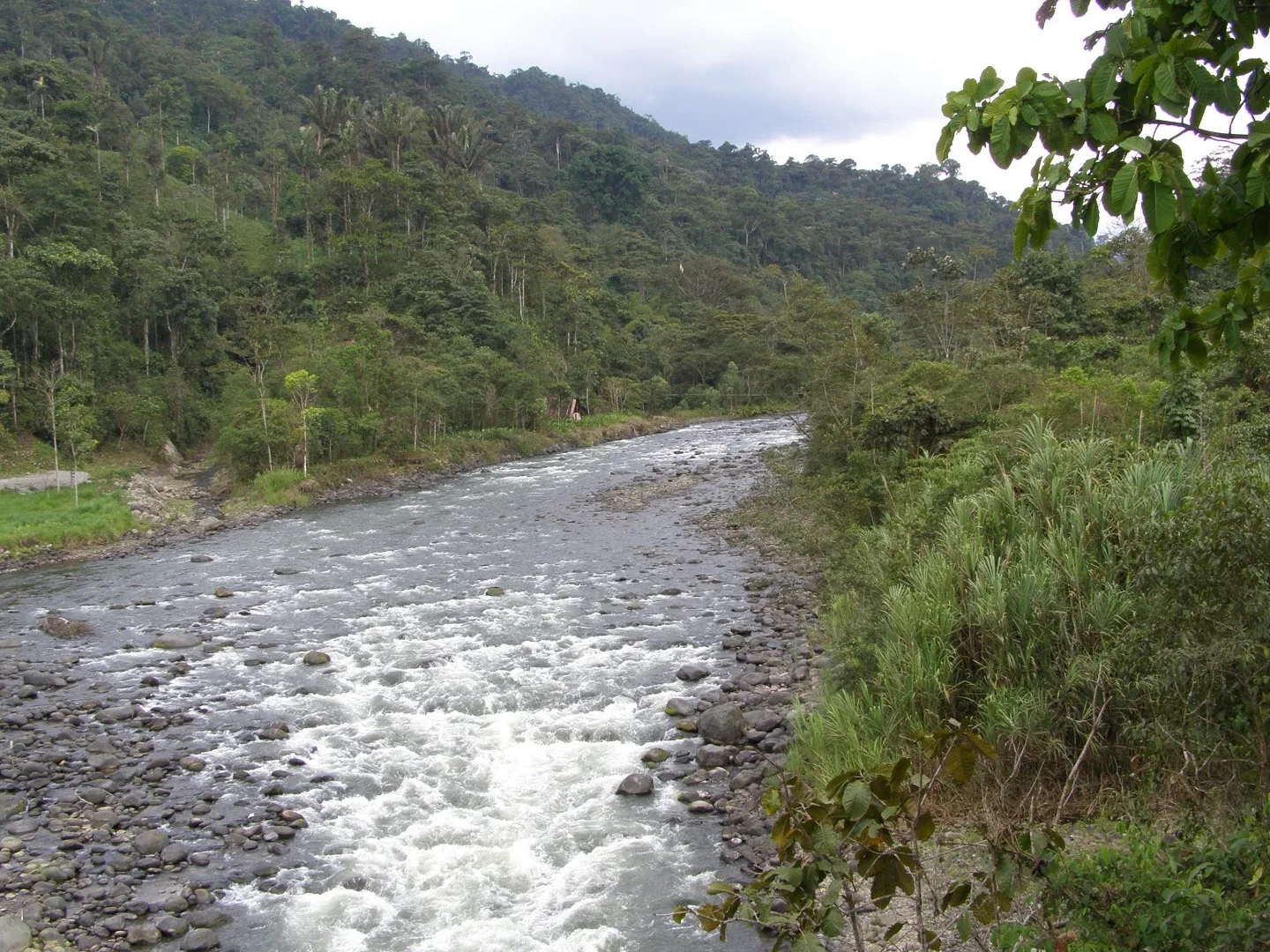 Reserva Ecológica Río Blanco