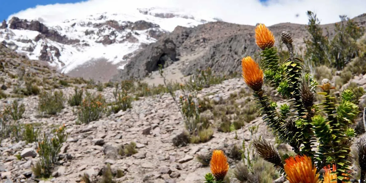 La Reserva de Producción de Fauna Chimborazo