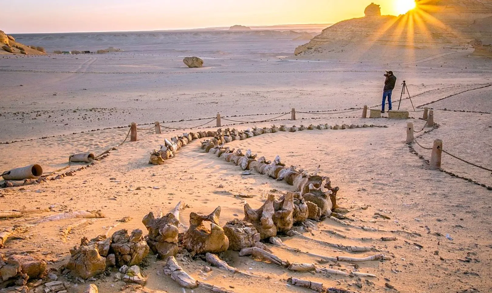 Valle de las ballenas (Wadi Al-Hitan)