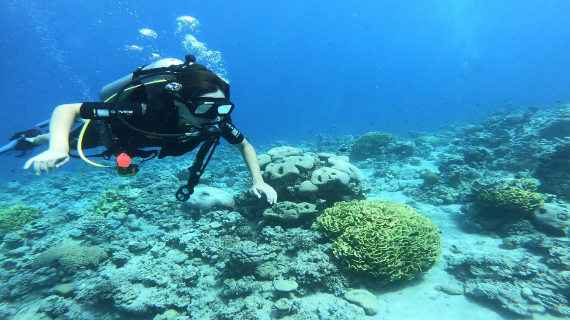 Centro de Deportes Acuáticos y Buceo