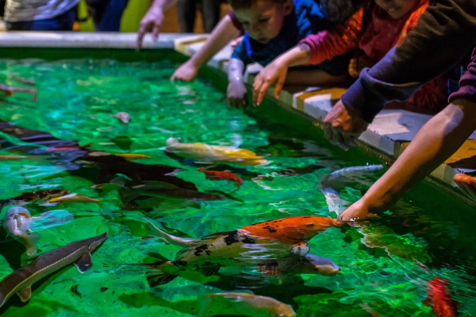 Hurghada Grand Aquarium