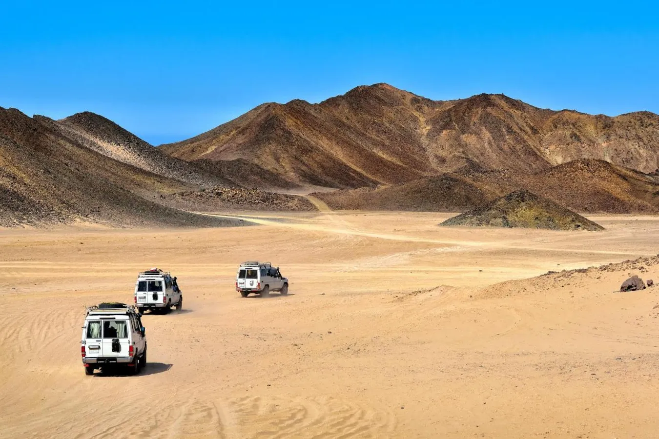 Safari en el Desierto