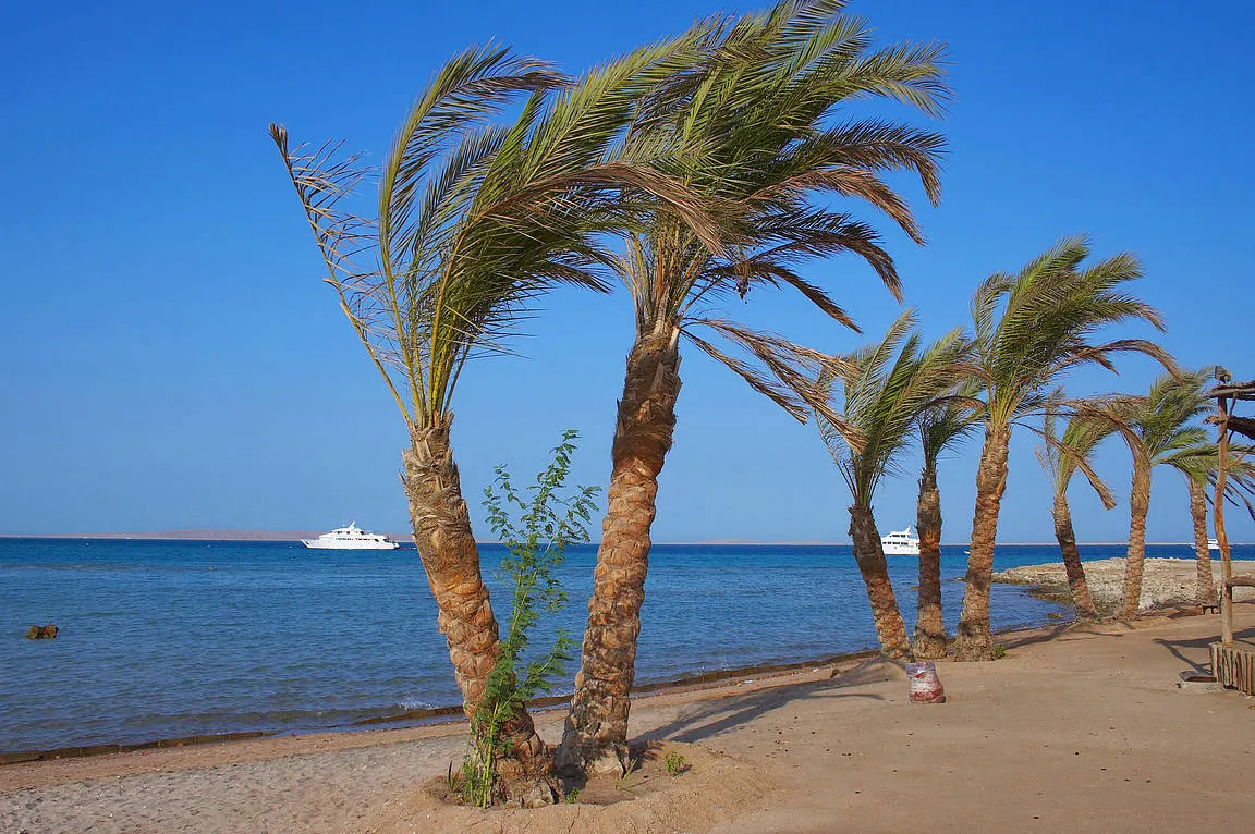 Playa de al-Arish