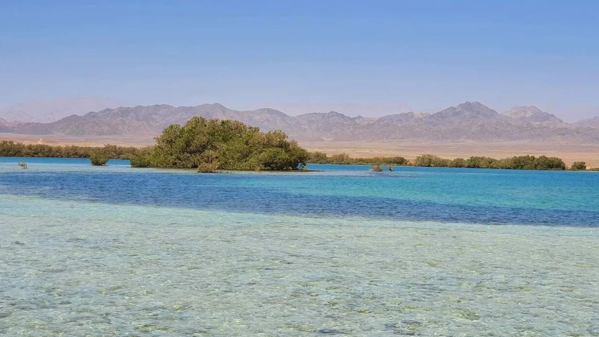 Nabq Protected Area