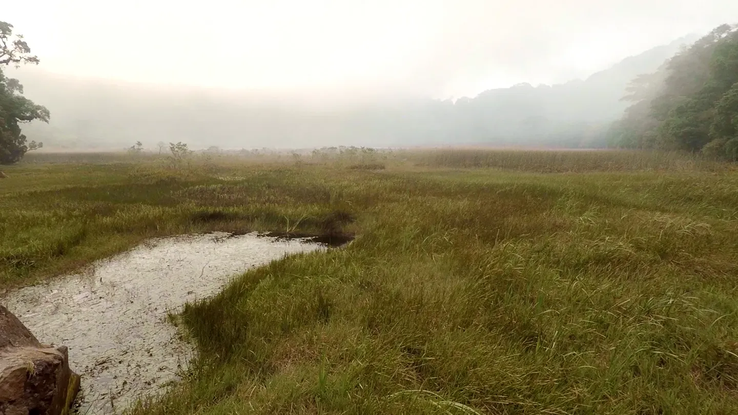 Laguna de las Ninfas