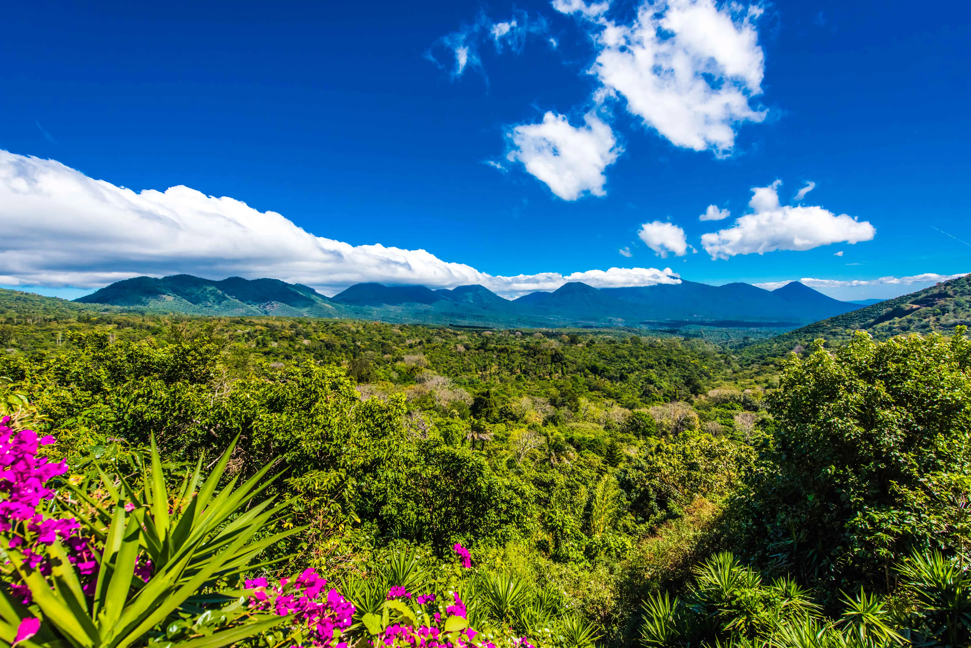 Ruta de las Flores