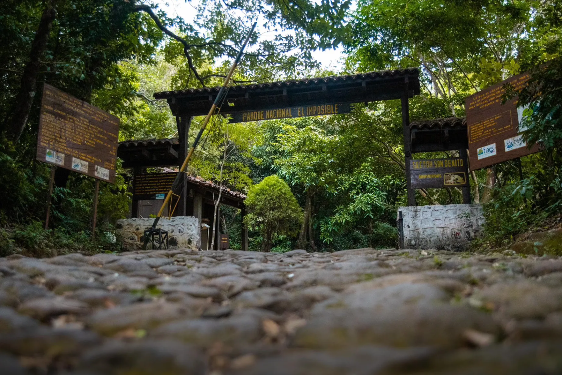 Zona arqueológica Tacuscalco