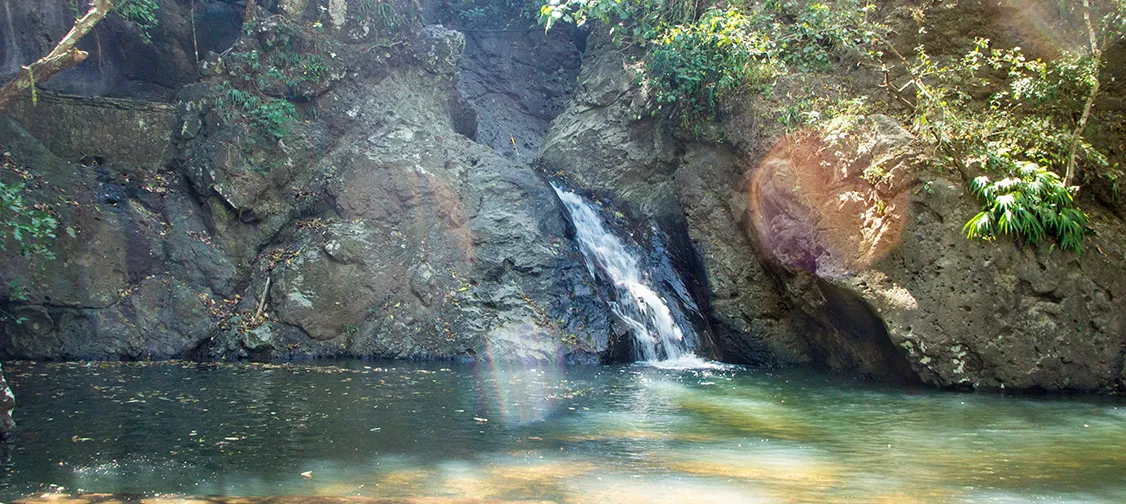 La Ceiba de los 500 años