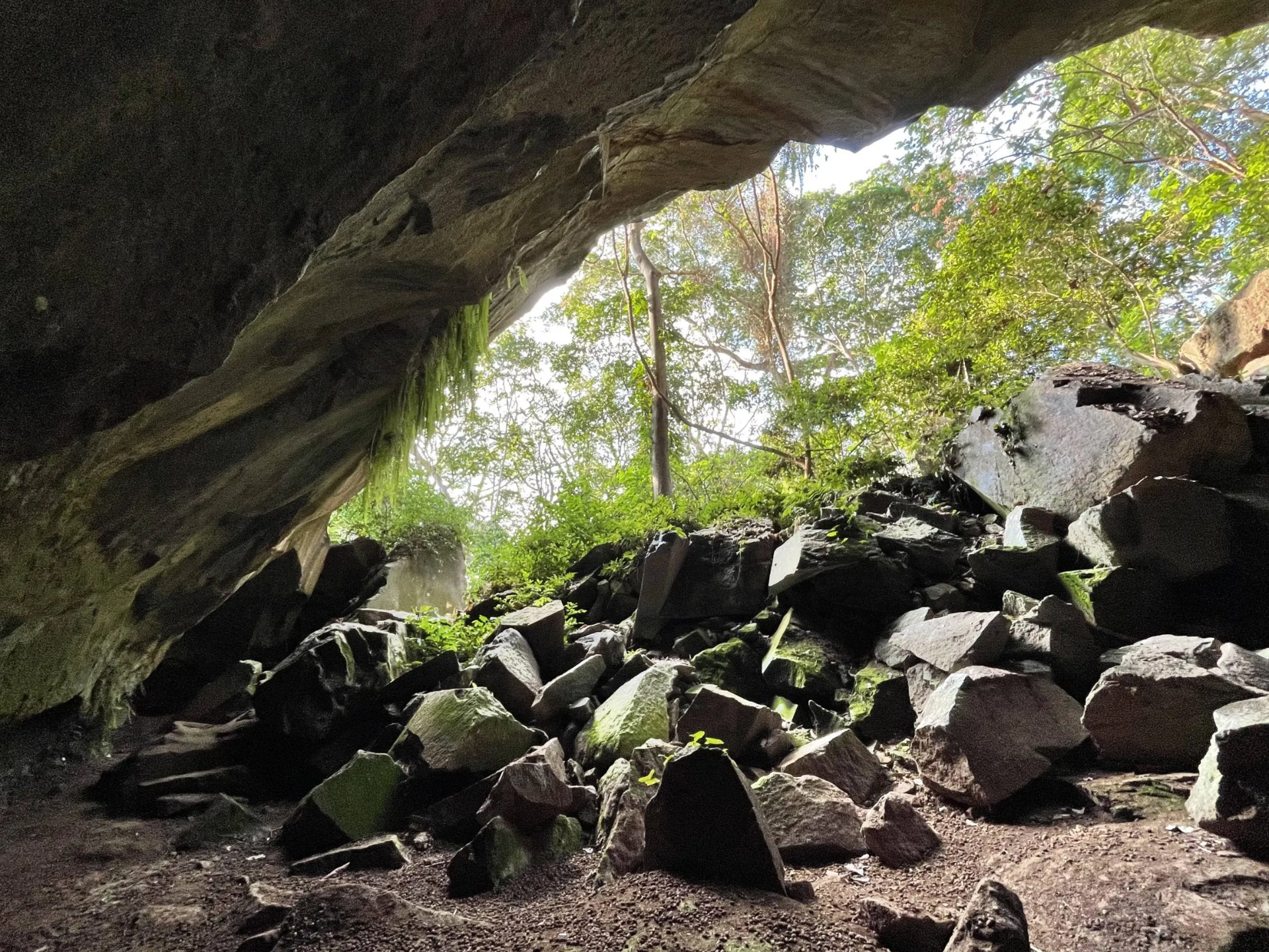 Parque Natural Walter Thilo Deininger