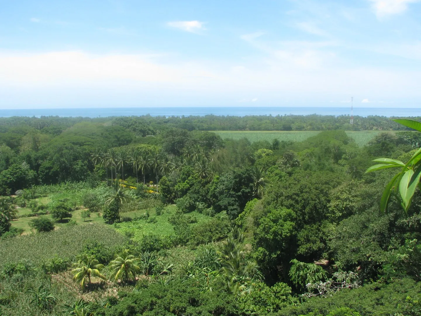 Parque Nacional Walter Thilo Deininger