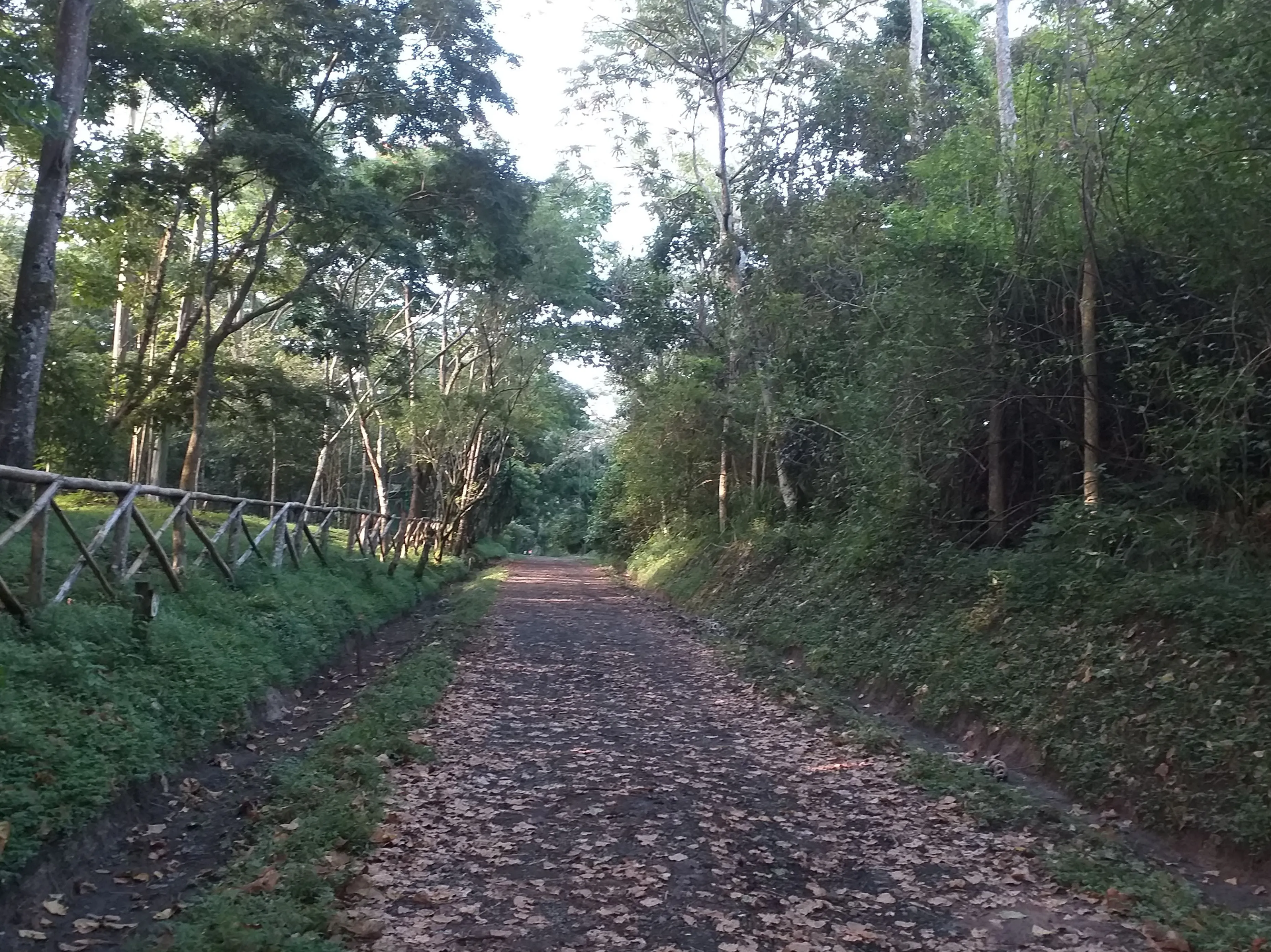 Parque Bicentenario