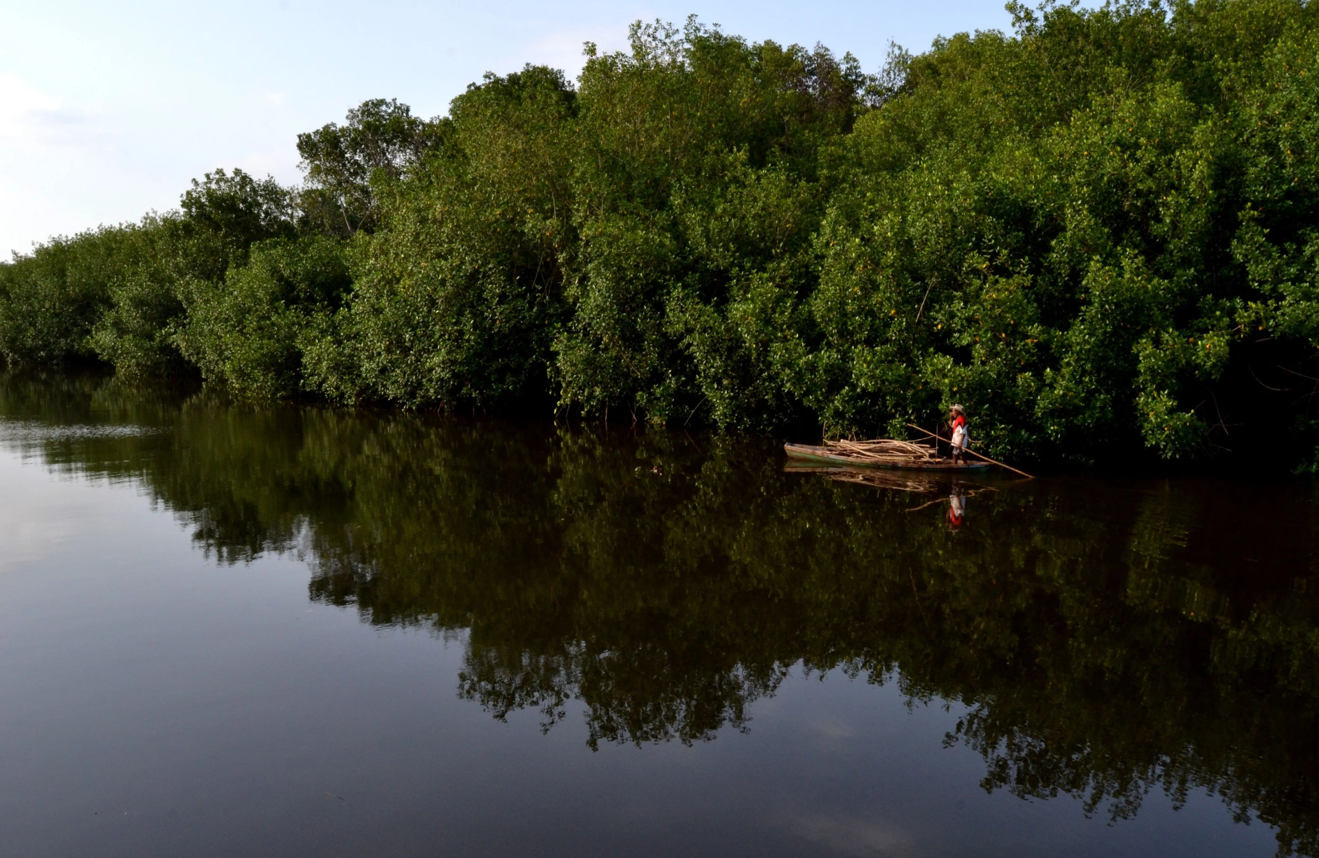 Manglares de Jiquilisco