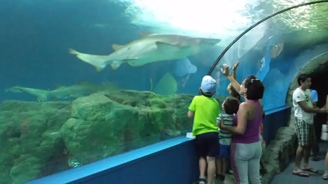 Acuario de Almuñécar