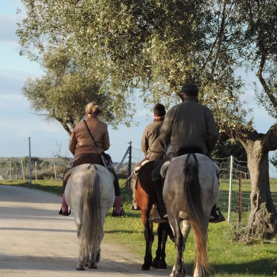 Actividades Barbancho - Rutas a caballo