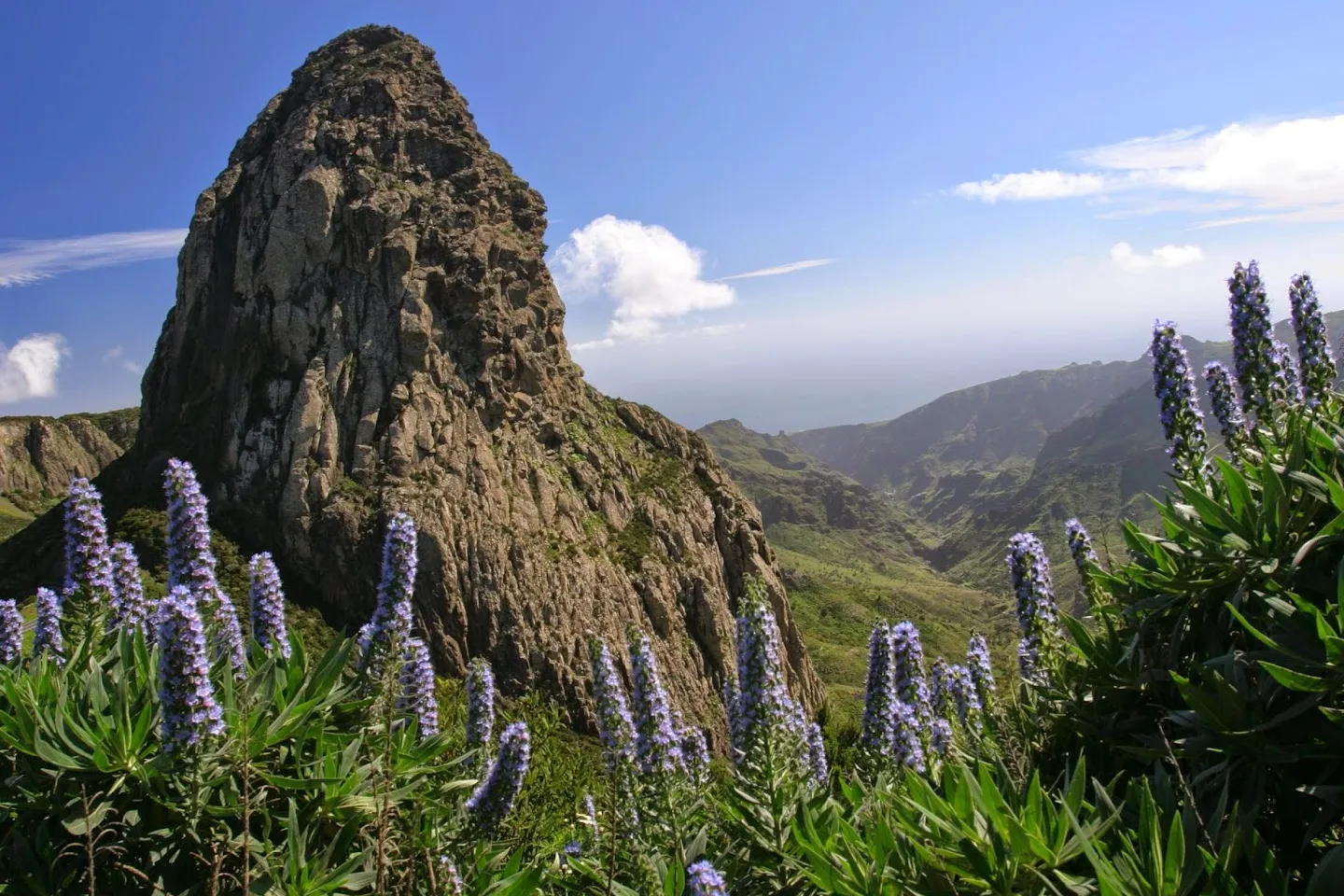 Parque Nacional de Garajonay