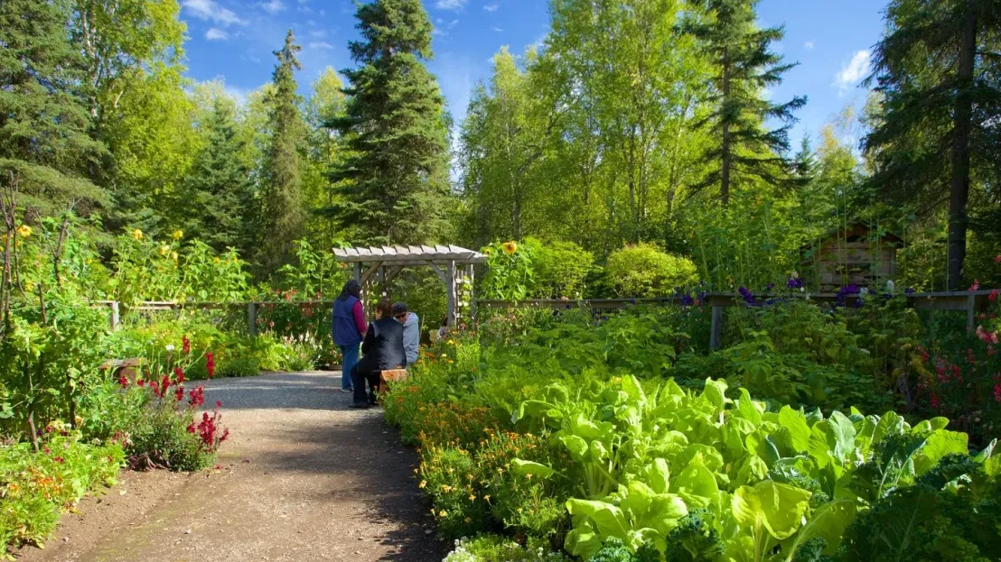 Jardín Botánico de Alaska