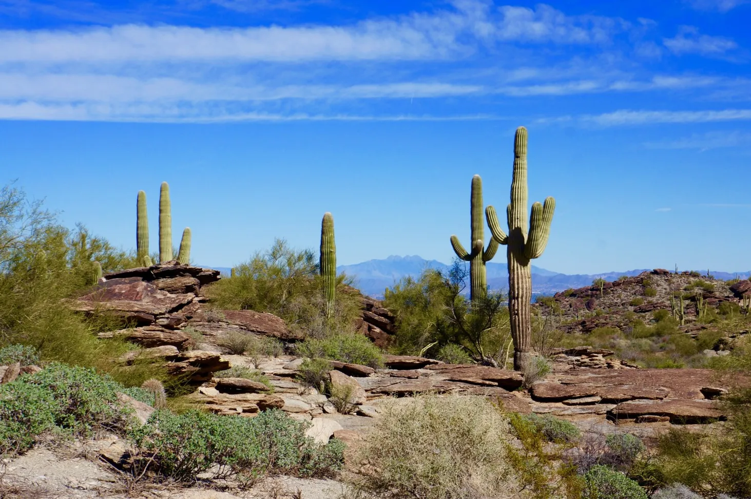 South Mountain Park