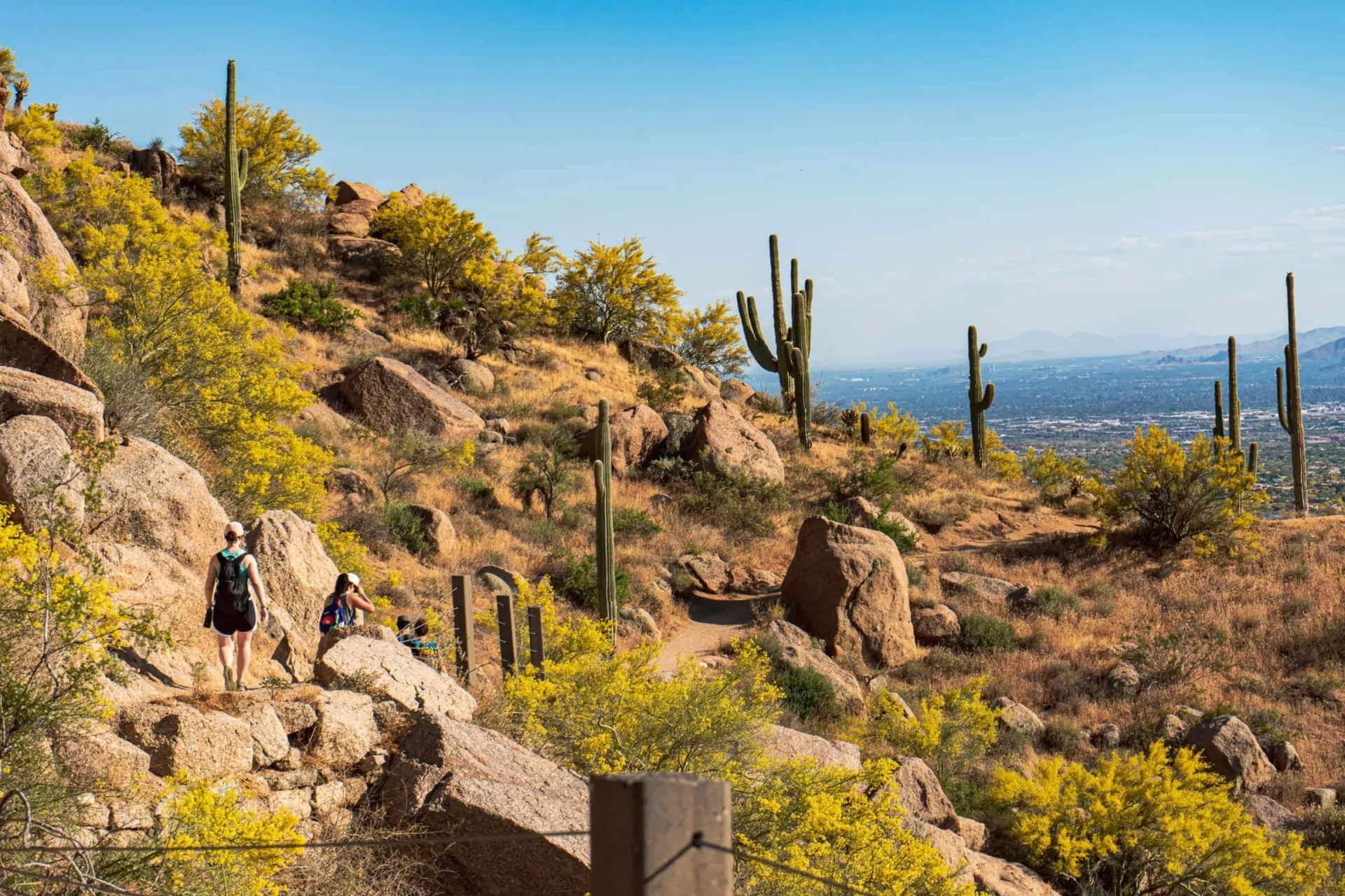 Pinnacle Peak Park